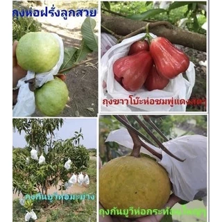 ถุงห่อฝรั่ง ผลไม้ UV ไม่ต้องใช้กระดาษหนาพิเศษ เจาะรูระบายน้ำ ระบายความร้อน ระบายอากาศ