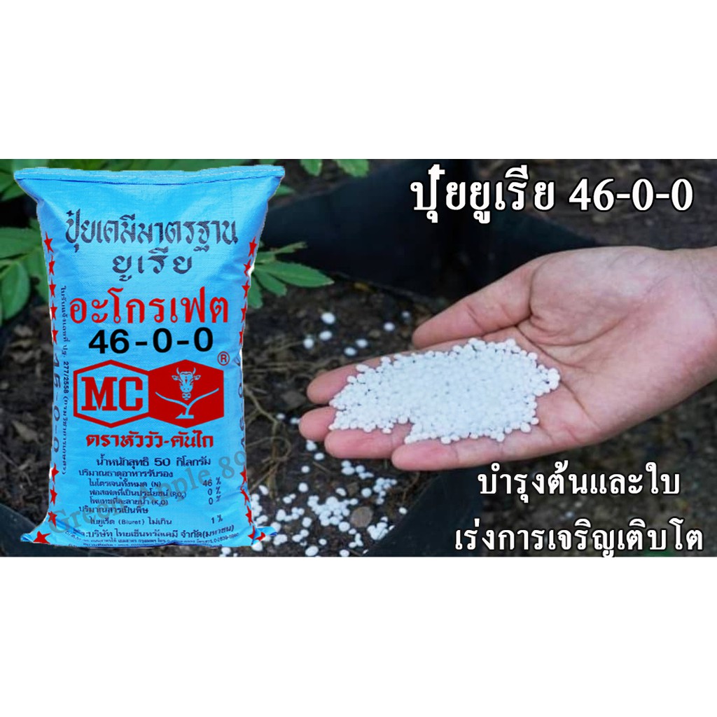 ปุ๋ยบำรุงใบ 46-0-0 ขนาด 1 กิโล ปุ๋ยยูเรีย ปุ๋ยเร่งใบ ปุ๋ยบำรุงต้น  ปุ๋ยเร่งใบต้น ปุ๋ยบำรุงผักผลต้นใบ