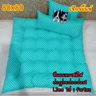 เบาะนอนสัตว์เลี้ยง 80x80 cm เขียวมิ้นท์