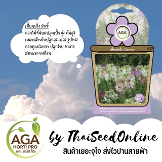 เมล็ดพันธุ์ ซองเล็ก เสี้ยนฝรั่ง มิกซ์ เอกะ AGA เมล็ดดอกไม้