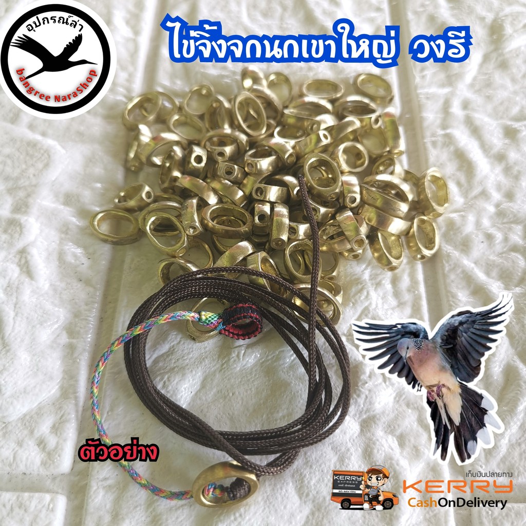 ไข่จิ้นจกนกเขาใหญ่ วงรี ลูกหมุนติดเชือกนกเขาใหญ่ นกเขาใหญ่
