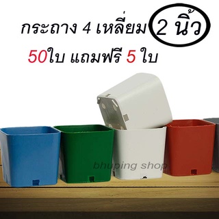 กระถางแคคตัส4เหลี่ยม ขนาด 2นิ้ว (ชุด50ใบ ฟรี 5ใบ) | กระถางต้นไม้ กระถางพลาสติก 2นิ้ว กระถางเหลี่ยม กระถางสี่เหลี่ยม