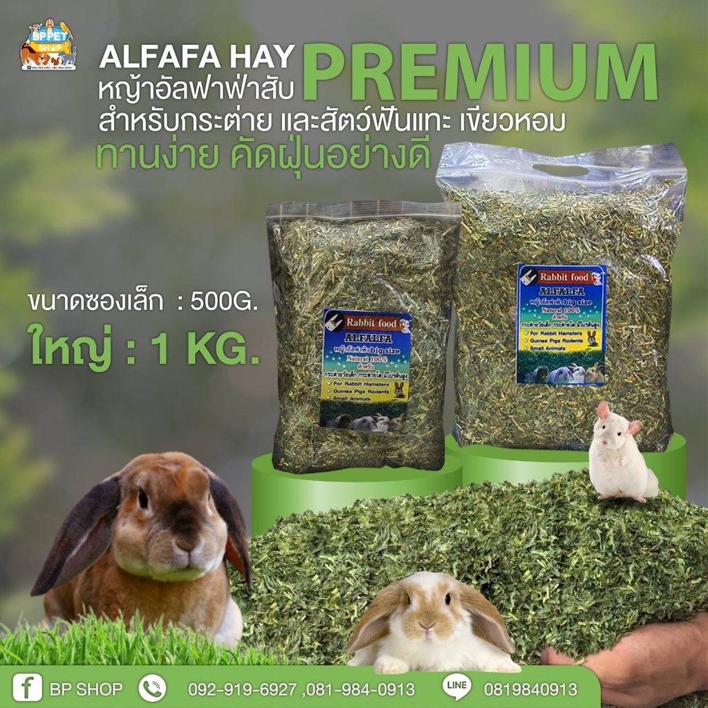 หญ้าอัลฟาฟ่าสับ Alfalfa stream cut premium เกรดนำเข้าจากออสเตรเลีย ร่อนฝุ่น เขียว ใบเยอะ ( 500G.-1KG )