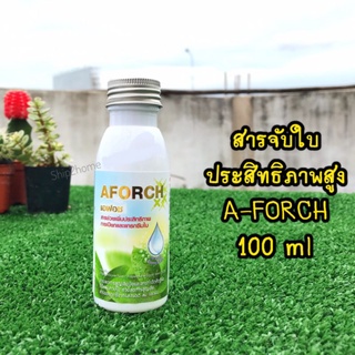 AFORCH เอฟอช สารจับใบคุณภาพสูง 100ml ช่วยลดแรงตึงผิวของน้ำ เพิ่มประสิทธิภาพการแทรกซึม ยึดเกาะใบ