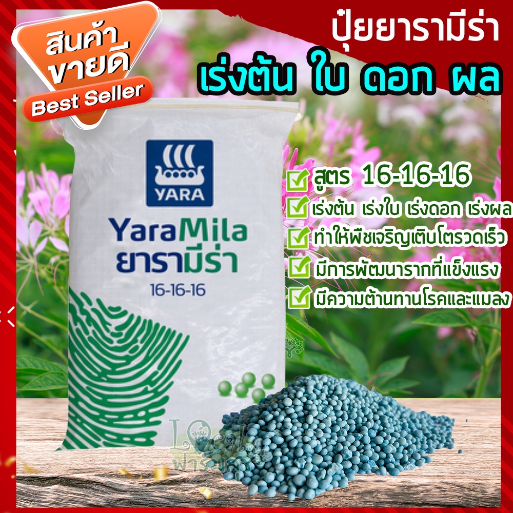 ปุ๋ยยารา ปุ๋ยยาร่า ปุ๋ยยาร่ามีร่า ปุ๋ยสูตร 16 16 16 เร่งต้น เร่งใบ เร่งดอก เร่งผล สูตรเสมอ ปุ๋ยใส่ต้