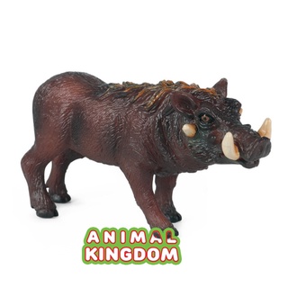 Animal Kingdom - โมเดลสัตว์ หมูป่า ขนาด 12.00 CM (จากหาดใหญ่)