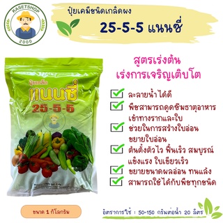 ปุ๋ยเกล็ดแนนซี่ 25-5-5 ขนาด 1 กิโลกรัม.#ปุ๋ยเขียว#ทุ่งเศรษฐี#เร่งต้นเร่งใบ