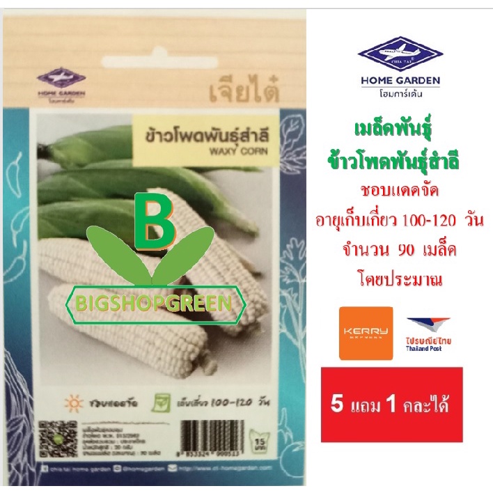 5 แถม 1 เมล็ดพันธุ์ผัก ข้าวโพดพันธุ์สำลี ตราเจียไต๋ เมล็ดผัก เมล็ดพันธุ์พืช เมล็ดพืช เมล็ดพันธุ์ผัก