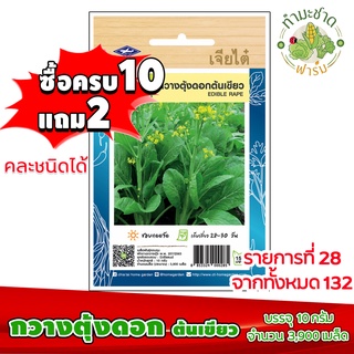 (ซื้อ10แถม2) เมล็ดพันธุ์ กวางตุ้งดอก ต้นเขียว flowering pak choy ประมาณ 3,900เมล็ด เจียไต๋ เมล็ดพันธุ์พืช เมล็ดพันธุ์ผัก