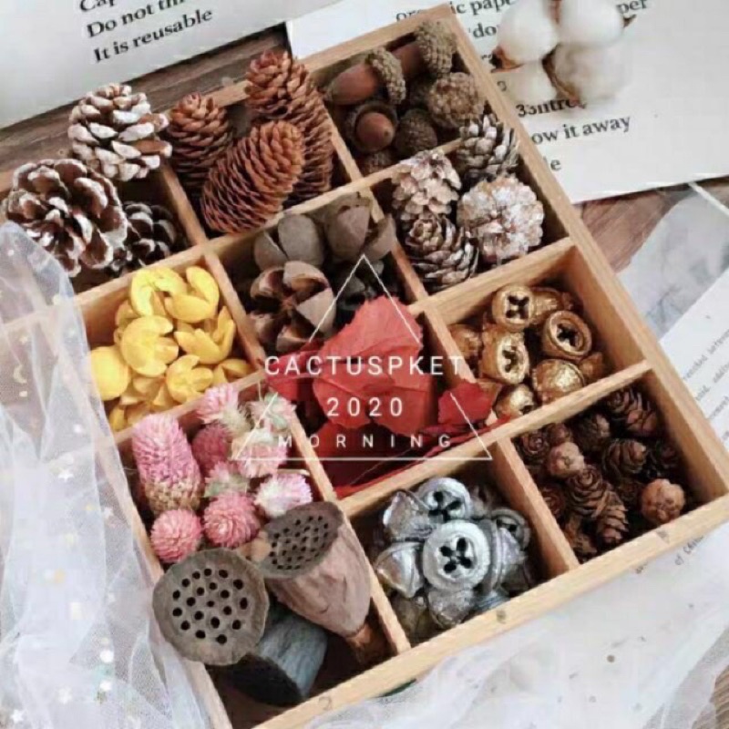 ลูกไม้เเห้งนำเข้า☘️เริ่มต้น5฿/ชิ้นドライフルーツ ลูกไม้ ลูกไม้ป่า