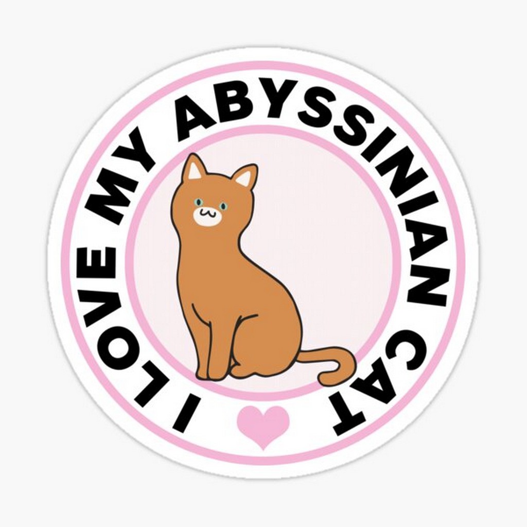 สติ๊กเกอร์ติดรถ แต่งรถ สติ๊กเกอร์ แม่เหล็กติดรถยนตร์ สติ๊กเกอร์แมว I Love My Abyssinian Cat - DGE39
