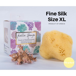 ฟองน้ำธรรมชาติ ชนิด Fine Silk ขนาด XL สีเหลือง (FREE EMS!!)