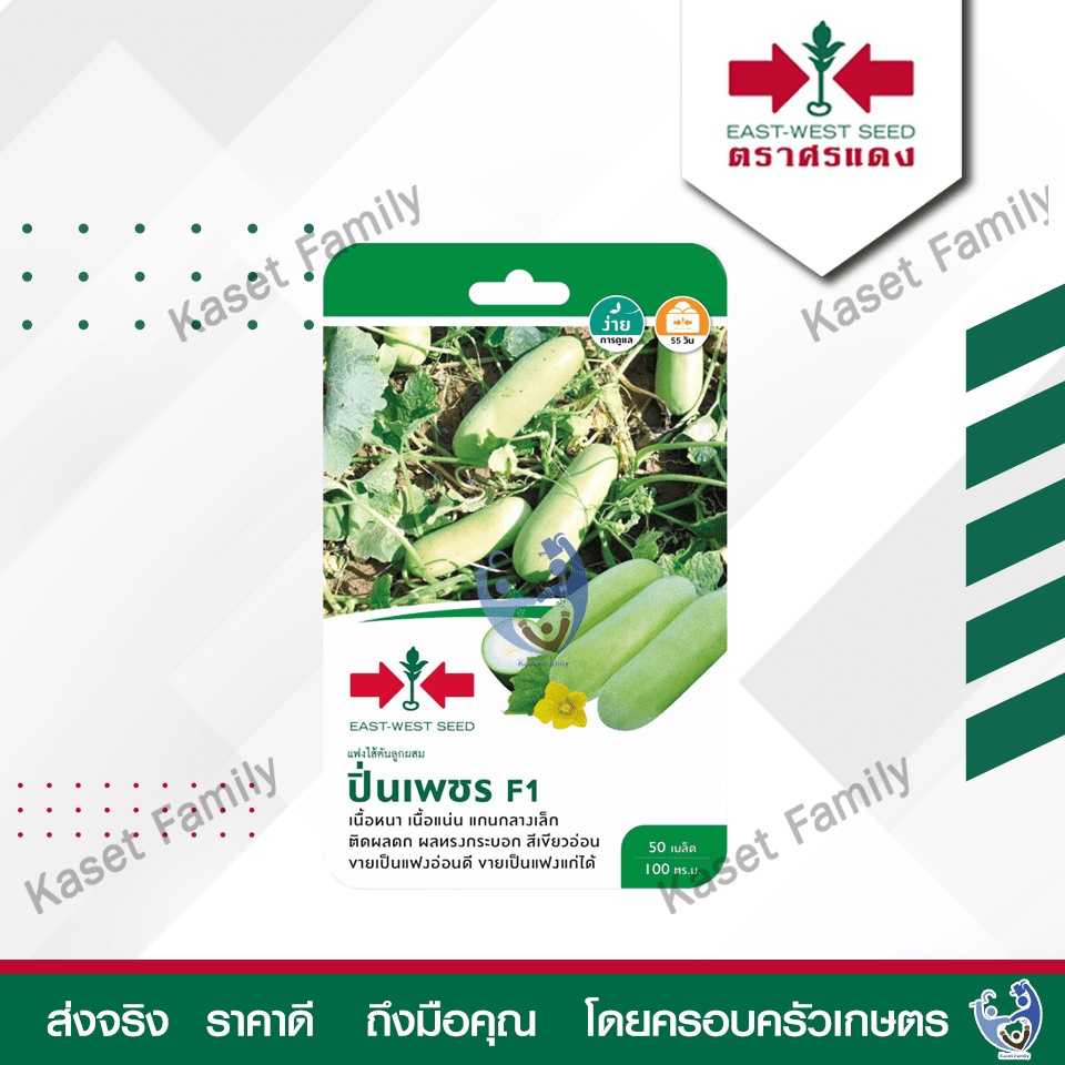 ผักซอง แฟงไส้ตัน ปิ่นเพชร 50 เมล็ด เมล็ดแฟง ตราศรแดง