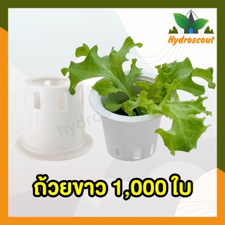 ถ้วยปลูกผักไฮโดรโปนิกส์แบบใช้ซ้ำ  1 ชุด จำนวน 1000 ใบ