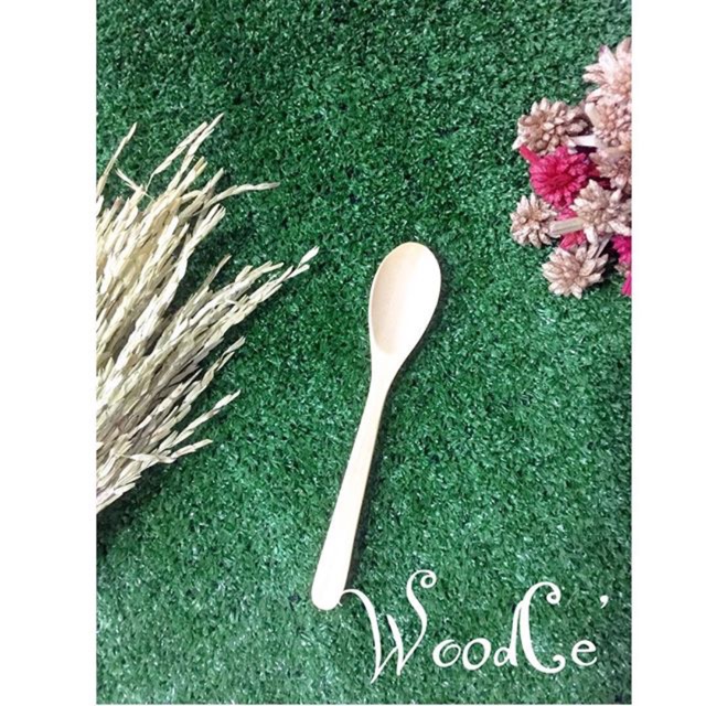 ช้อนขนมใหญ่ (Big Dessert Spoon)