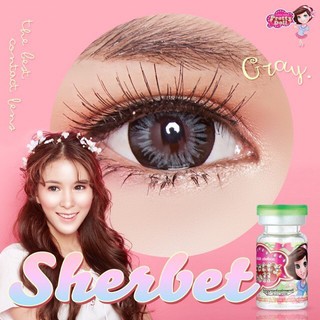 Sherbet Gray (1) บิ๊กอาย สีเทา เทา ตาโต ตัดขอบ โทนแบ๊ว เน้นขอบดำ Pretty Doll ฝาเขียว สายตาสั้น ค่าสายตา สายตาปกติ แฟขั่น