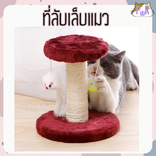 ของเล่นแมว ที่ลับเล็บแมว cat toy [แท่นสองวง]