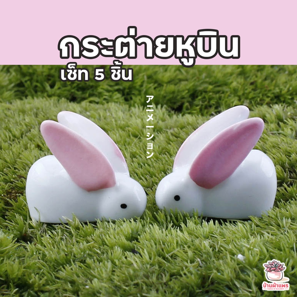 กระต่ายหูบิน [ เซต 5 ชิ้น ] ตุ๊กตาจิ๋ว โมเดลจิ๋ว แต่งสวน
