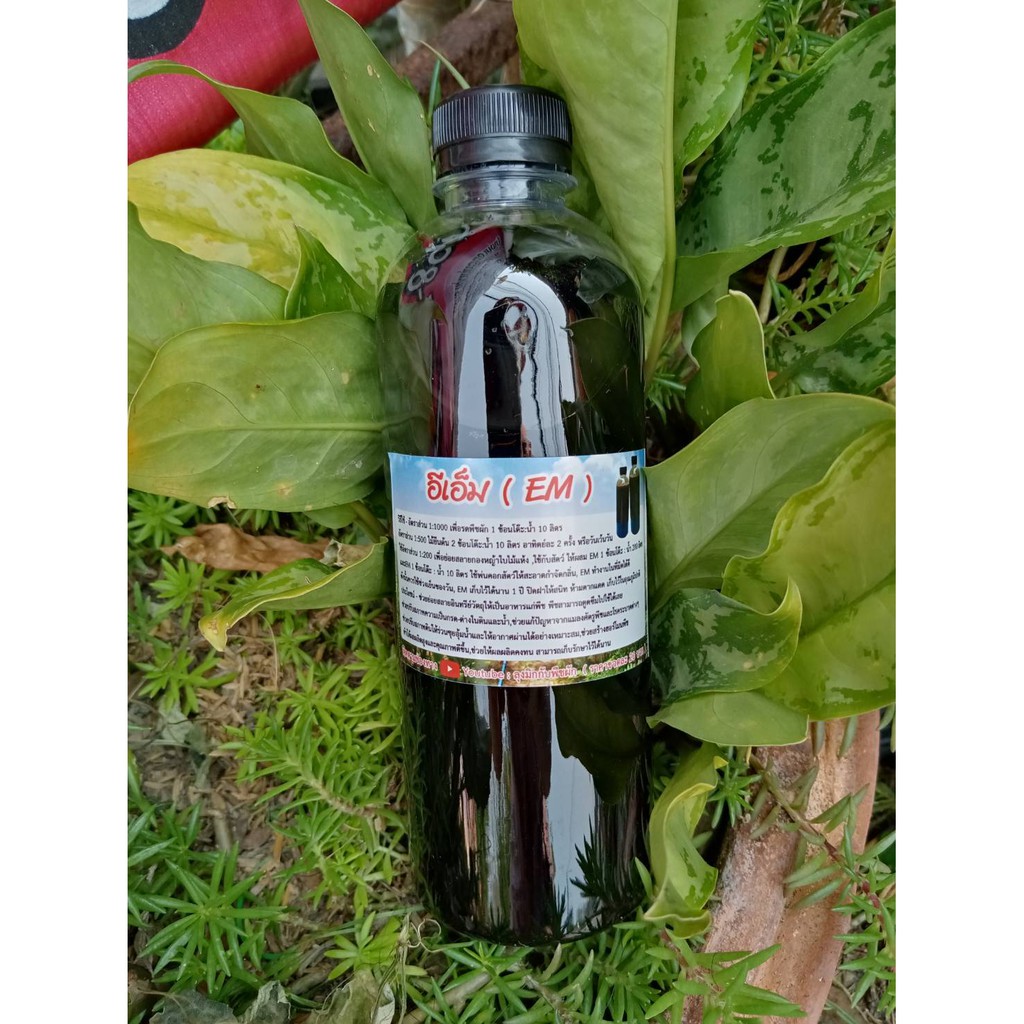 อีเอ็ม จุลินทรีย์มีประโยชน์ต่อพืช และสัตว์ กำจัดกลิ่นในห้องน้ำ และกำจัดกลิ่นในคอกเลี้ยงสัตว์ มีของแถมฟรีทุกกล่อง