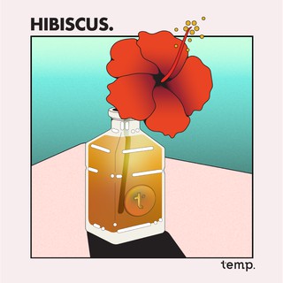 CD วง temp. อัลบั้ม HIBISCUS.