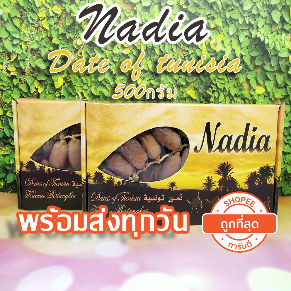 อินทผาลัม Nadia (ปริมาณ 500g) อินทผลัมอบแห้ง นาเดีย อินทผลัม Deglet Nour อินทผลัมเดกเลทนัวร์ อินทผาลัมแห้ง Date Palm