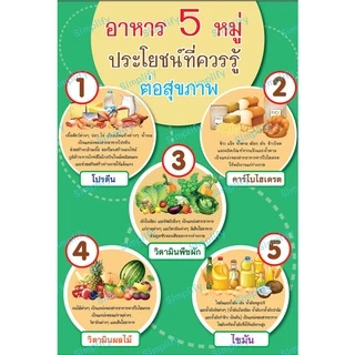 โปสเตอร์ อาหาร 5 หมู่ประโยชน์ที่ควรรู้ต่อสุขภาพ