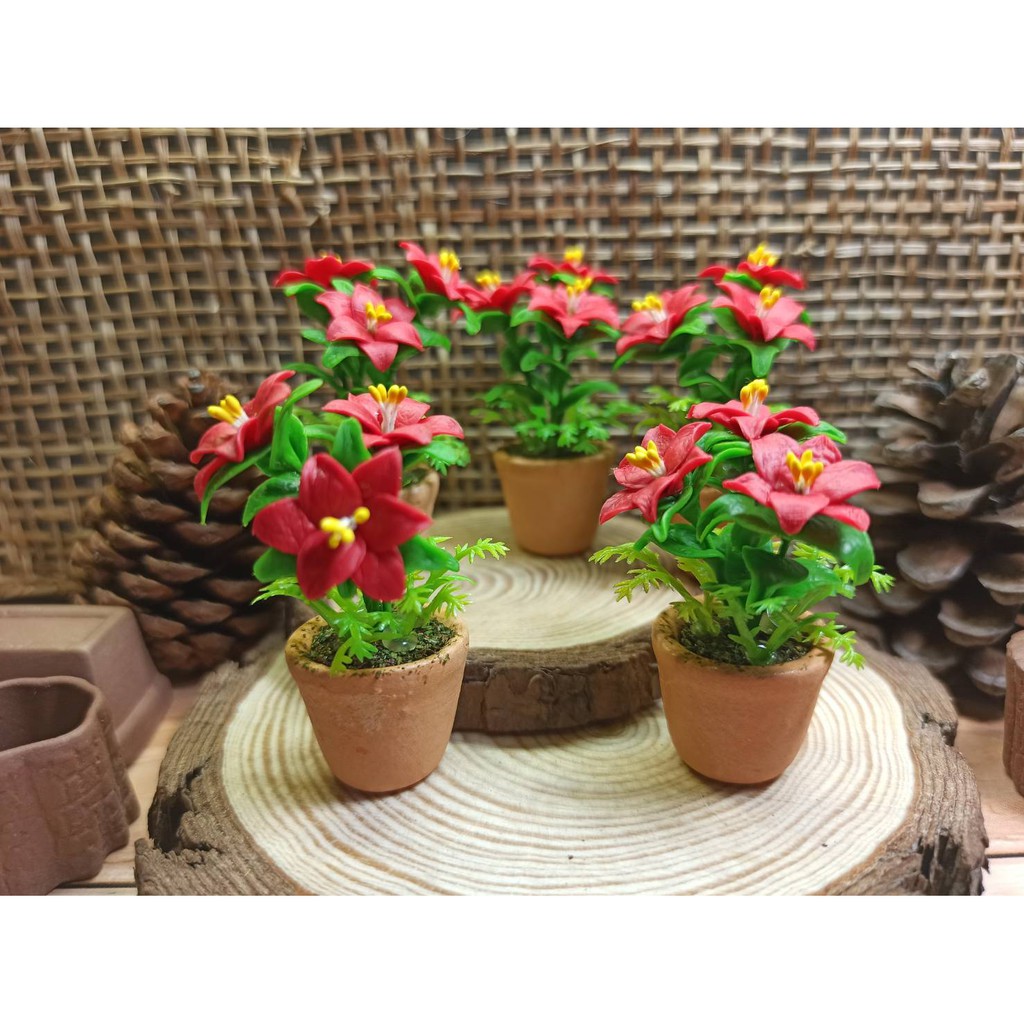 [พร้อมกระถาง] ต้นคริสต์มาสสีแดง ต้นคริสต์มาสสีแดงจิ๋ว ต้นคริสต์มาสสีแดงดินปั้นจิ๋ว