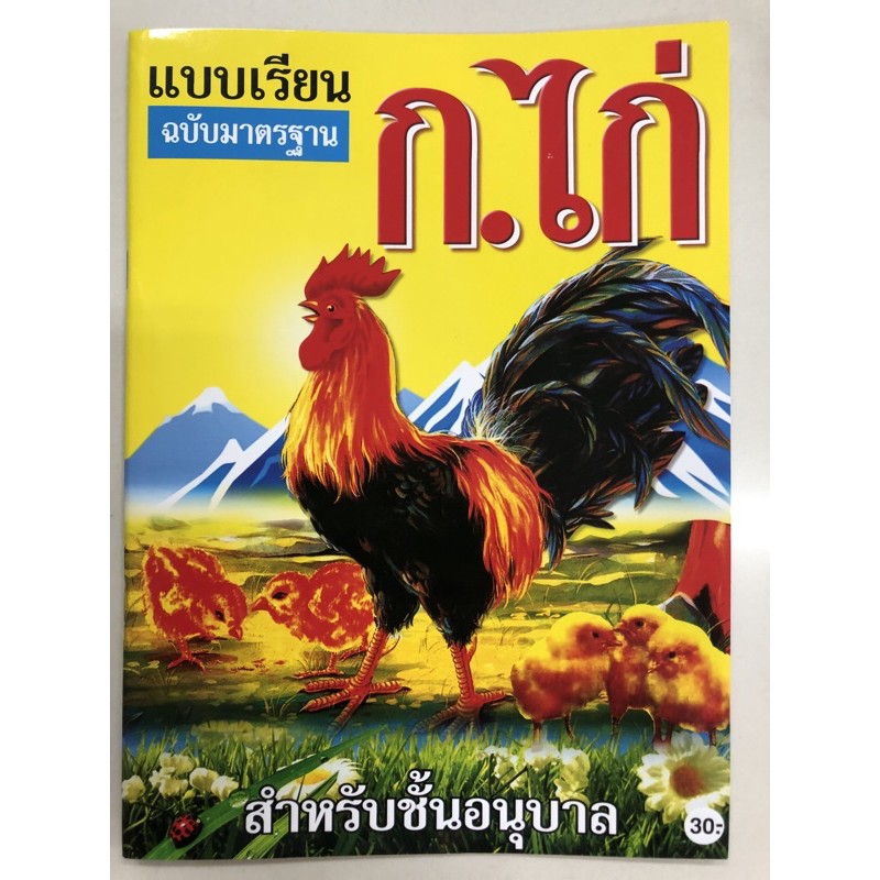 แบบเรียน ฉบับมาตรฐาน ฝึกอ่าน ก.ไก่ อนุบาล (บ้านกอไก่)