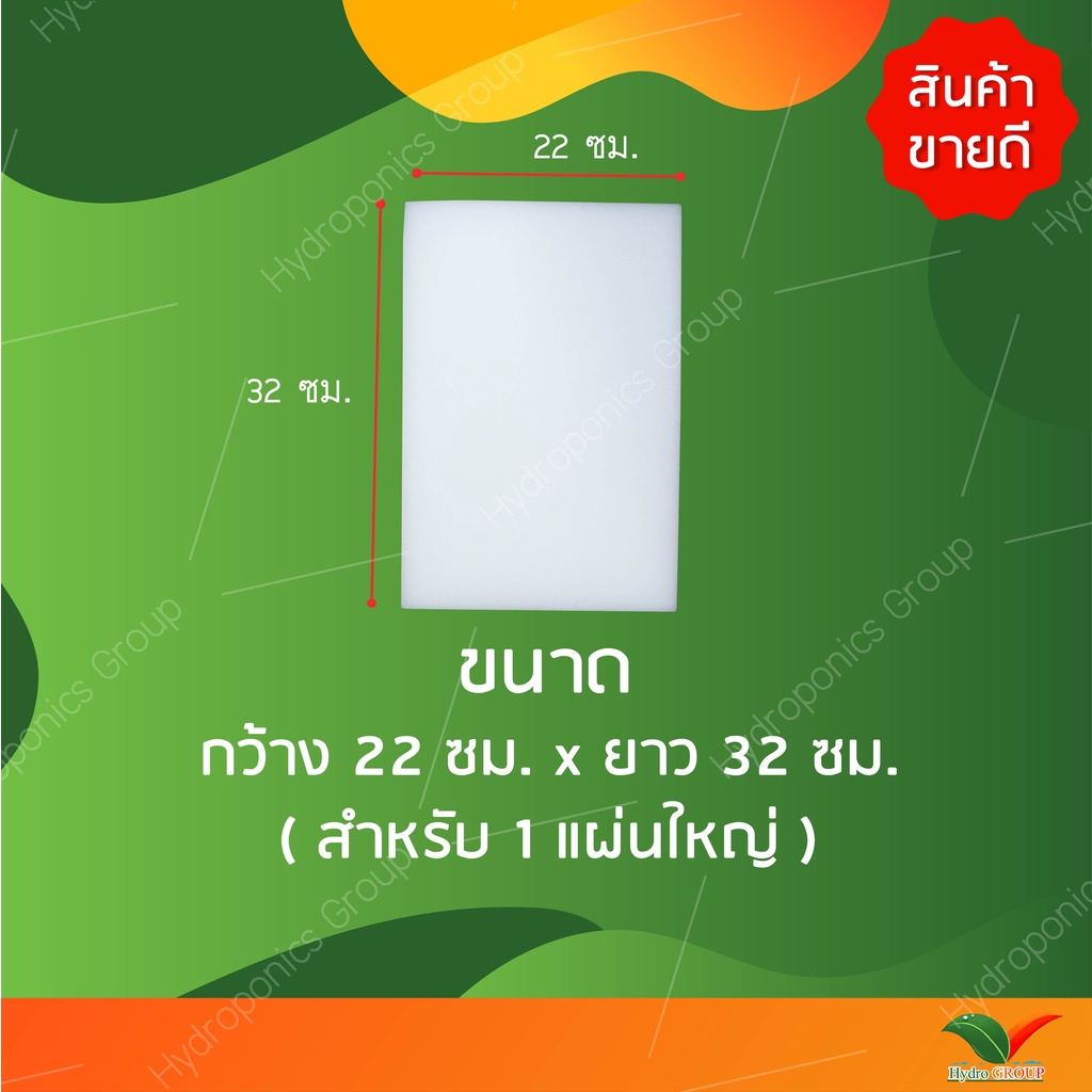 ฟองน้ำปลูกผักไฮโดรโปนิกส์คุณภาพดี  5  แผ่น by hydroponicgroup ราคา ถูกที่สุด ดีลบีเคเค แกลเลอรีภาพที่ 4