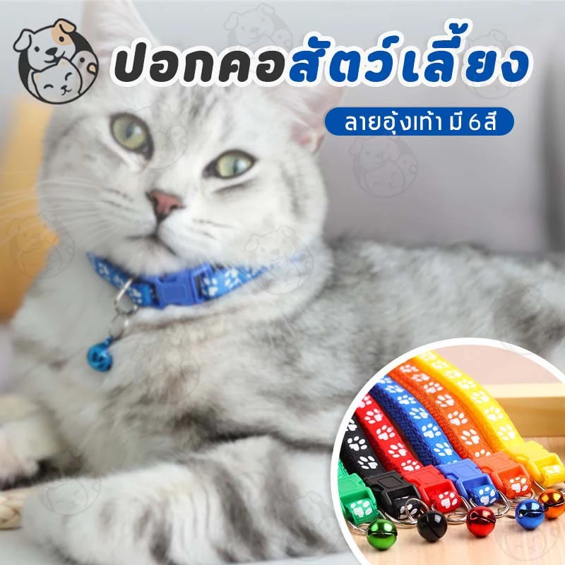 ปลอกคอสัตว์เลี้ยง ลายอุ้งเท้า มีกระดิ่ง แมวและสุนัข thumbnail 5