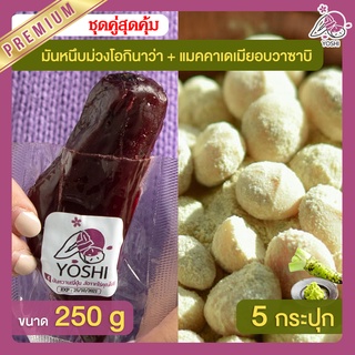 มันหนึบม่วงโอกินาว่า 250g + แมคคาเดเมีย อบวาซาบิ 5 กระปุก มันหนึบญี่ปุ่น Macadamia มันหวานญี่ปุ่น มันหวานญี่ปุ่น มันหนึบ