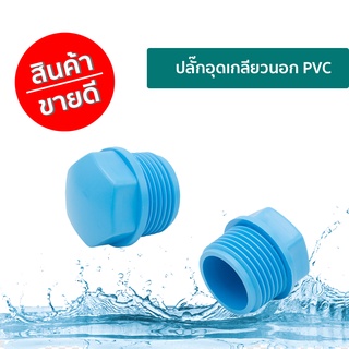 ปลั๊กอุดเกลียวนอก PVC DTOR