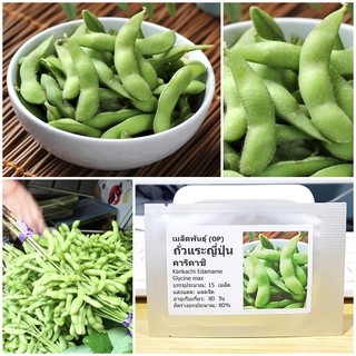 เมล็ดพันธุ์ ถั่วแระญี่ปุ่น คาริคาชิ (Karikachi Edamame Seed) บรรจุ 15 เมล็ด คุณภาพดี ของแท้ 100%