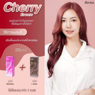 Berina เบอรีน่า ยาย้อมผม ครีมเปลี่ยนสีผม โทนสีน้ำตาลประกายชมพู Cherry Brown แพค 2 กล่อง (A24+A46 50:50 ml.)