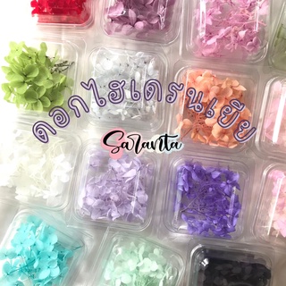 Saranta_resin (พร้อมส่ง) ดอกไฮเดรนเยียแห้ง กลีบเล็ก ดอกไม้แห้ง ตกแต่งเรซิ่น เครื่องประดับ DIYและแฮนเมดต่างๆ