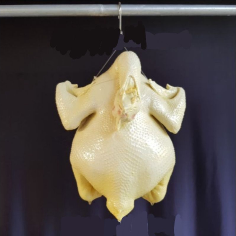 ไก่ปลอม  เรซิ่น  ขนาด 5 โล  แบบขาว กว้าง 25 ยาว 31 cm ตัวละ 1‚400 บาท  ไก่เรซิ่น ไก่ตอนปลอม ไก่ต้มปลอม ไก่ปลอม ไก่เทียม
