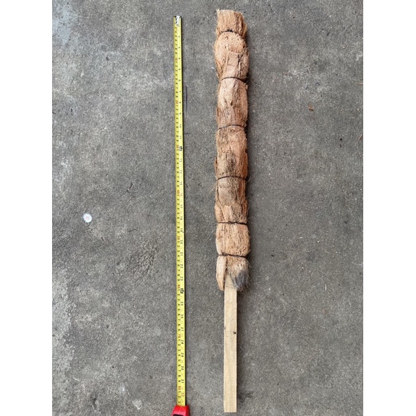 เสาหลักไม้เลื้อย ความสูง 75 cm. สำหรับไม้เลื้อยพลูด่าง พลูฉลุ