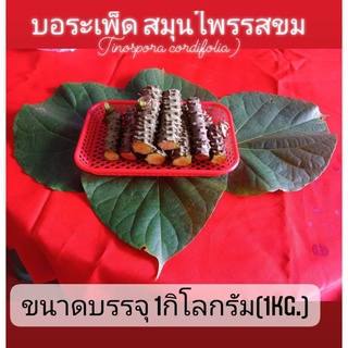 บอระเพ็ดสด (Fresh Tinospora cordifolia)1กิโลกรัม(1Kg)