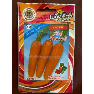 เมล็ด แครอท 10 แถม 1  ซันชายด์ carrot เมล็ดพันธุ์ผัก