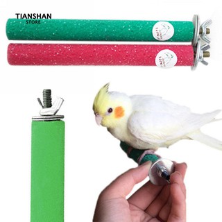 Pet Parrot Budgie กัดเคี้ยวกัดเท้า Paw ก้านของเล่นกรงนกเล่น Stand Perches