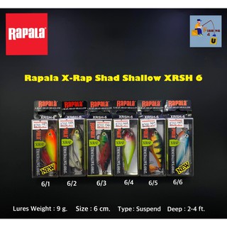 Rapala X-Rap Shad Shallow XRSH 6