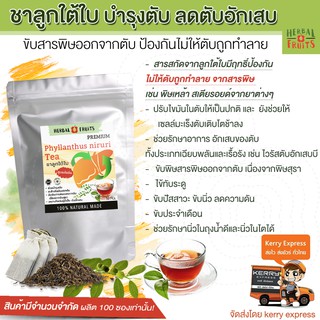 ชาลูกใต้ใบ สูตรเข้มข้น เกรด Premium ขับสารพิษจากดับ จำนวน 10 ซองชา แบรนด์ Herbal Fruits