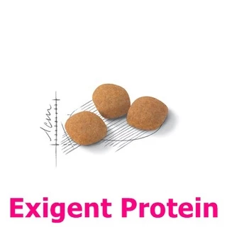 Royal Canin Exigent Aroma / Protein / Savour 4kg อาหารแมว สูตรแมวกินยาก 4กก. มี 3 แบบ ให้เลือก