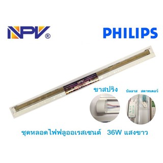 philips ชุดหลอดฟลูออเรสเซนต์ T8 รุ่นมาตฐาน 18-36W เดย์ไลท์ Daylight