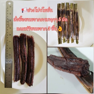 👌ขนมใบจากออแกนิค 1 มัดมี 5 ชิ้น ฮาลาล حلال