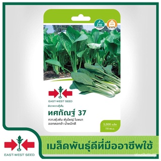 ขายดี สวนครัว/เมล็ดอวบอ้วน100�st-West Seed เมล็ดพันธุ์ผักกวางตุ้ง (Caisim seeds) ทศกัณฐ์ 37 เ/เมล็ด ซอง งอก การ DBDS