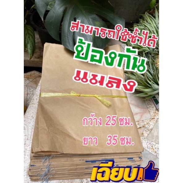 100ใบ ถุงห่อผลไม้ ถุงห่อกระท้อน