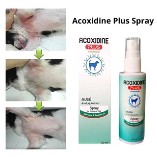 ( เชื้อราสุนัข เชื้อราแมว) ACOXIDINE plus อโค ซิดีน พลัส สเปรย์ แก้คัน ยีสต์ ผื่น สามารถใช้คู่กับ มาลาเซบ มาราเซป