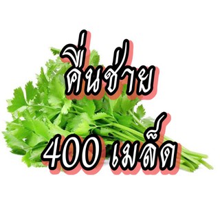 เมล็ดผักคื่นช่าย เมล็ดผักสวนครัว เมล็ดผัก5บาท