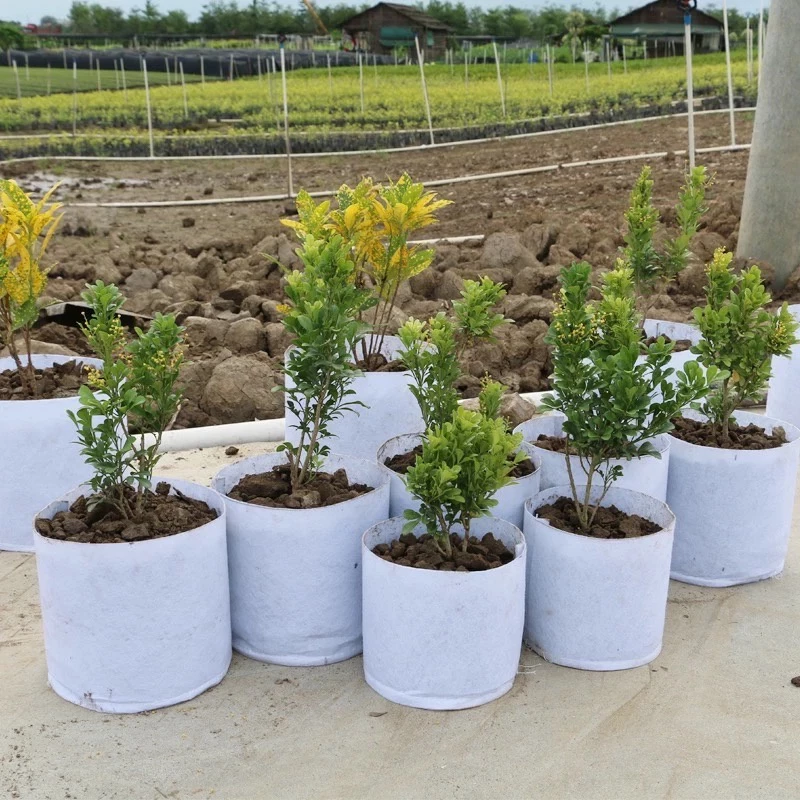 Non-woven fabric Grow bag กระถางผ้า สีขาว มีหัวหิ้ว กระถางผ้าปลูกต้นไม้ ถุงปลูกต้นไม้ กระถางต้นไม้